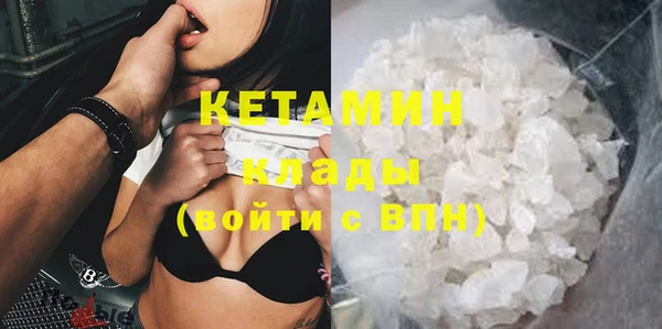 индика Козельск