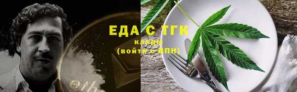 индика Козельск