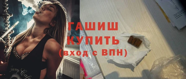 индика Козельск