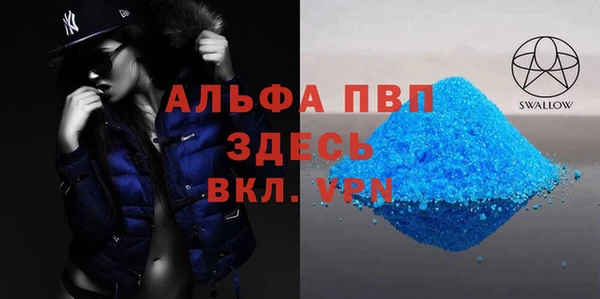 индика Козельск