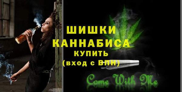 индика Козельск