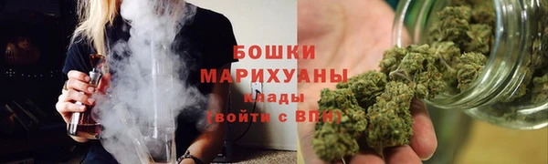 индика Козельск