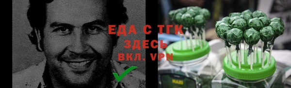 индика Козельск