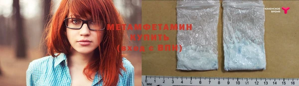 индика Козельск