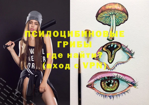 хмурый Кодинск