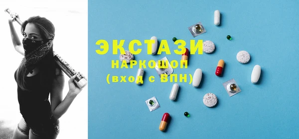 индика Козельск
