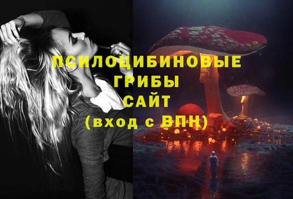 амф Козловка