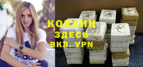 хмурый Кодинск
