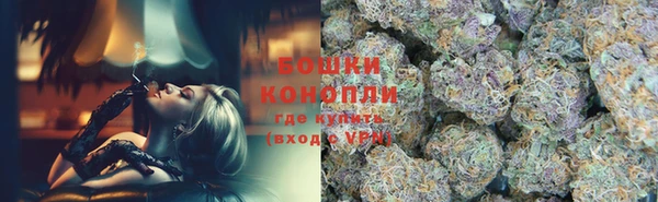 индика Козельск