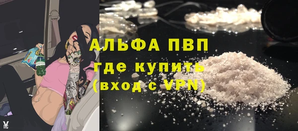 индика Козельск