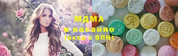 индика Козельск