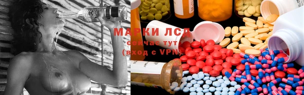 мяу мяу мука Корсаков