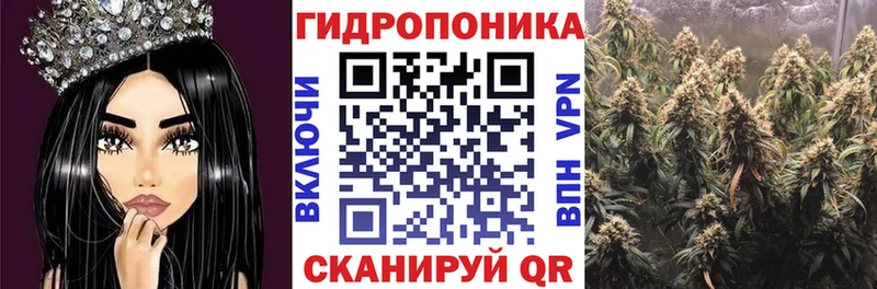 Каннабис MAZAR  Купить где  Емва 